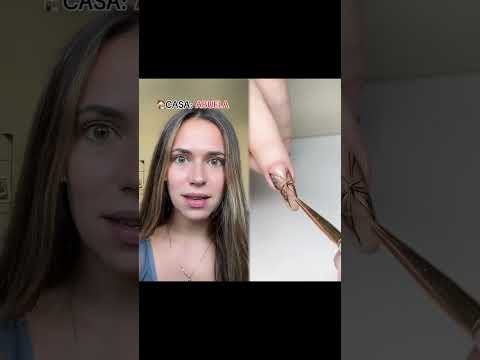 tienes que elegir una casa donde vivir.