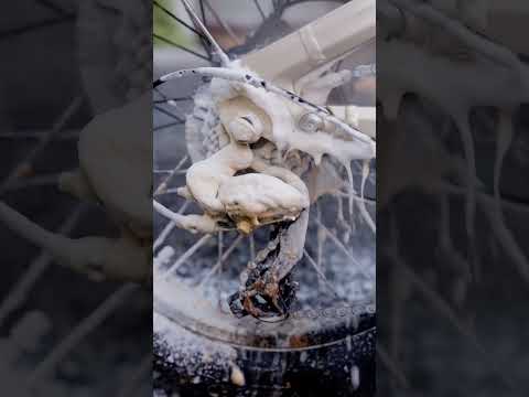 ENGWE L20 3.0 ASMR #engwe #ebike #ridewithengwe #fattirebike#commuterebikes