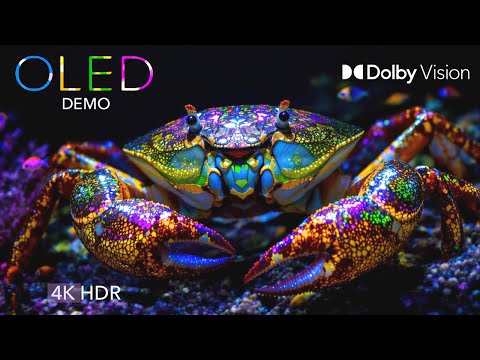 Underwater HDR 4K Ultra HD 60fps OLED | Dolby Vision™