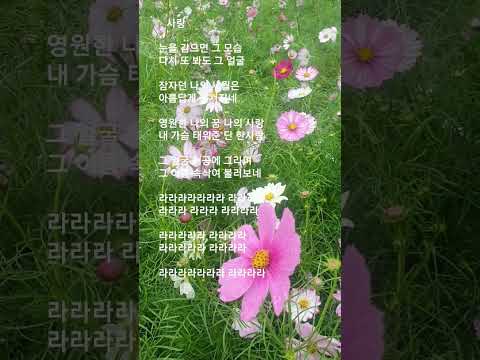 #사랑   #  송창식 #원곡: 나나무스꾸리 #Over and Over   #Nana Mouskouri #눈을 감으면 그 모습......      #라라라라