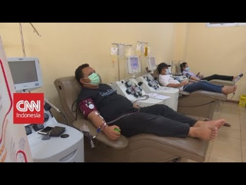 Menolong Pasien Covid-19 Melalui Donor Plasma Darah