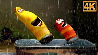 Larva, Dancing in the Rain, Animated Cartoon Show for kids