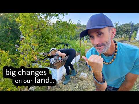 RUINED WATER TANK into AMAZING POND - OFF GRID HOMESTEAD (PORTUGAL)