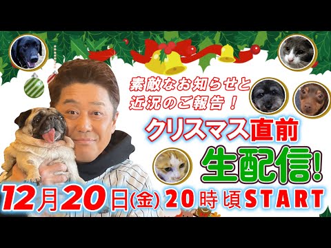 【クリスマス直前生配信！】１２月２０日（金）よる８時頃スタート！