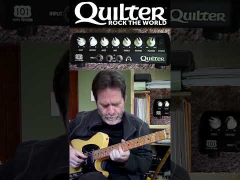 Quilter Labs |  101 Reverb  #SHORTS #reverb #amplifier