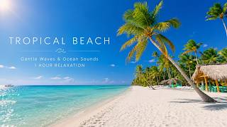 「環境音/波の音]南国ビーチの優しい波音｜青い海と白い砂浜でリラックス