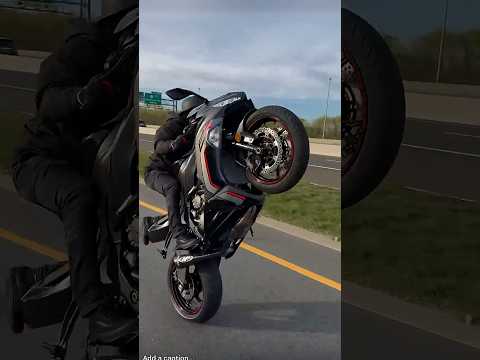 ZX6R Revving Wheelie on the Highway! #ride