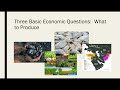 Economic Decision-Making and Production