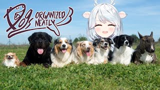 D&D (doggos & deer)【白鹿いおり Phase Connect】