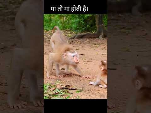 मां तो मां होती है। #shorts #reels