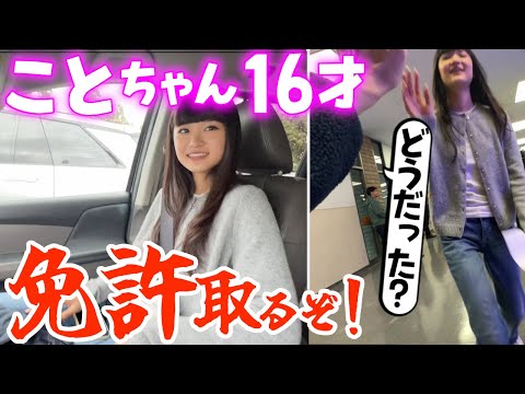 16歳のことちゃんが免許取得に挑戦!もうそんな年かよ…嘘だろ…