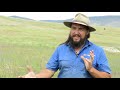 Ecological Restoration Concepts and Practices