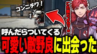 敵なのに息ぴったりすぎる可愛い野良に出会ったwwww【APEX】