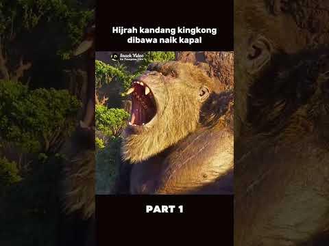monyet segede gaban diangkat bersamaan lewat jalur langit buat petunjuk ke dunia lain #film #godzila