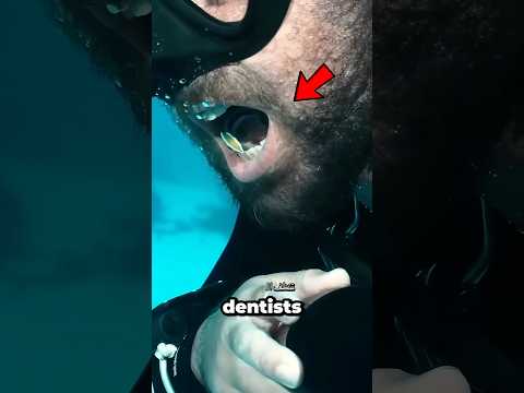 ليش لازم تفتح فمك إذا شفت هذي السمكة؟👄🐟