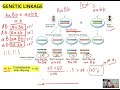 Chi-Square Analysis in Genetics