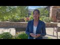 Ground-Level Ozone Effects and Solutions