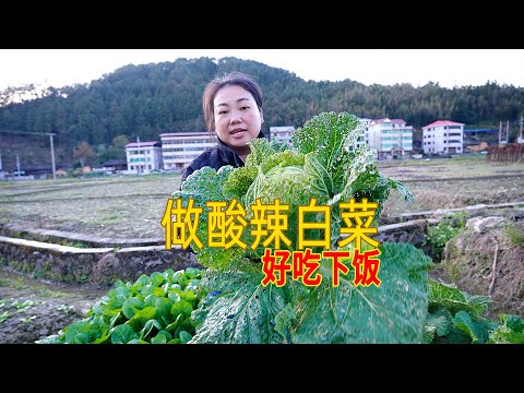 菜園裡現摘青菜，媳婦炒兩道青菜，簡單美味