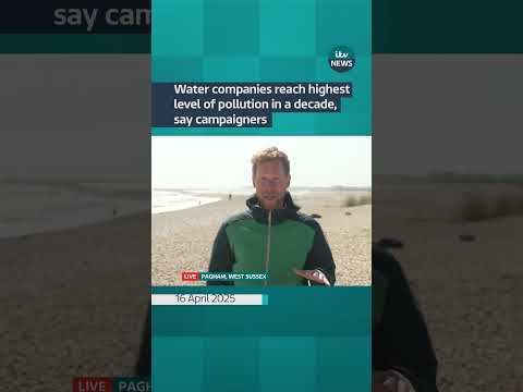 Water companies reach highest level of pollution in a decade, say campaigners | ITV News  #itvnews
