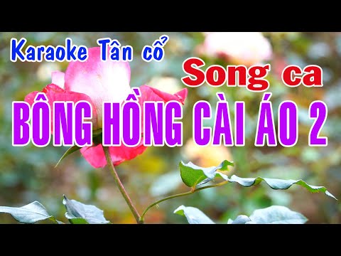 Karaoke tân cổ BÔNG HỒNG CÀI ÁO 2 – SONG CA [Nhạc: Phạm Thế Mỹ – Vc: Ngọc  Phúc]