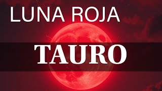 TAURO ♉ORO Y MIEL PARA TI SIEMPRE!!🪙🍯 ÉXITOSO Y AFORTUNADO!!👑🤑#tauro #taurus #tarot 