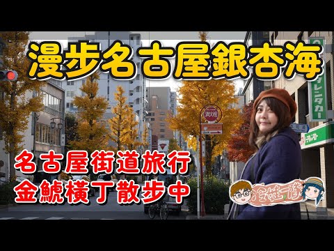 名古屋市區自由行 漫步名古屋銀杏海 |  Nagoya Free Tour 名古屋街道旅行中，名古屋楓葉海開始 前往名古屋城 | 金鯱橫丁散步中 x 【冷娃一隊】