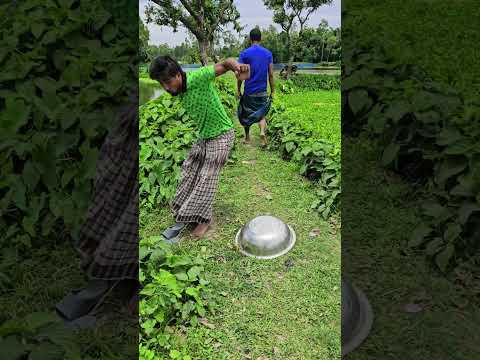 New funny video of village