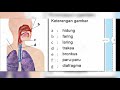 Learning about Human Respiratory System and Diatonic Major Scale