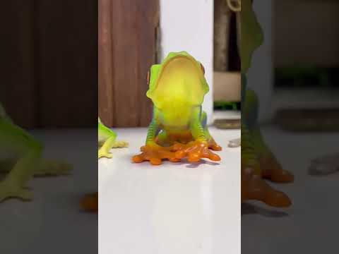 カエルの置き物にまぎれ込むカエル