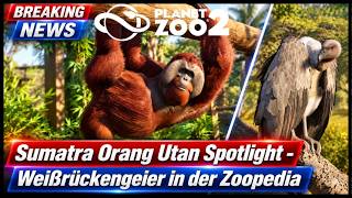 Planet Zoo 2 NEWS +++ Orang Utans und Geier | Ausgabe 12 |  Planet Zoo 2