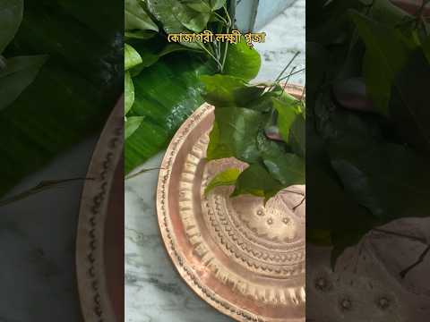 Laxmi pujo🪷#ashortaday #ytshorts #laxmi #esomaalokkhi