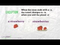 Transforming Nouns: From -y to -ies