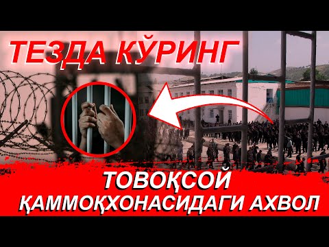 ТОВОҚСОЙ ҚАММОҚХОНАСИДАГИ АХВОЛ ОДАМ УЛСА ХАМ БОЛИШҚҚА П…ЙМИ?