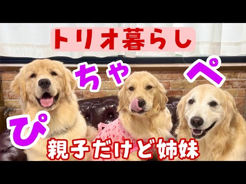 【トリオ暮らし】親子だけど姉妹のような関係