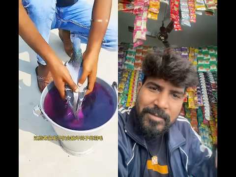 Kabutar🕊️ko clours kiya #new #kabutar #birds #viral #shorts #pets #kabootarba #facts #automobile