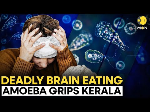 18 Lives LOST to Kerala's Mysterious Brain-Eating Amoeba Disease | Originals