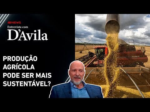 Ambientalista analisa agricultura sustentável no Brasil | ENTREVISTA COM D'AVILA