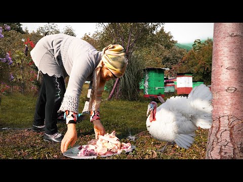 Savory Turkey Meat Cooking in Edible Plates | Best Turkey Recipe Ever