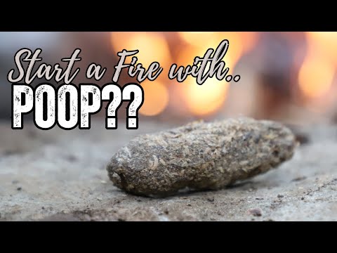 The Best Fire Starter Found In Nature!