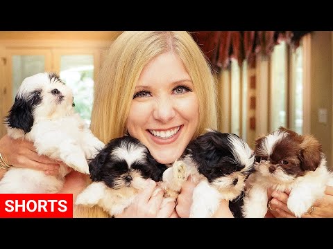 PUPPIES! ❤️❤️❤️