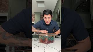 Gelatin/ gelatina VOD￼￼￼￼