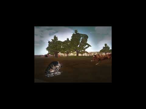 Cheetah Edit 😅 #wildcraft #edit #cheetah