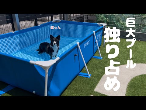 【最高】巨大プール出したけど、こゆき以外家から出てこなくなってしまった…インテックス