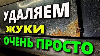 видео