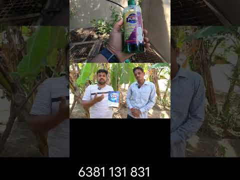 Septic tank உள்ள பாக்டீரியா விடராங்க???