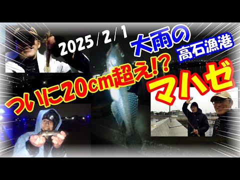 【2025年冬・2月大阪ハゼ釣り・浜寺水路】途中から大雨でヤバい！高石漁港の石畳で明るいうちに穴釣りもダメ！夜釣りでちょい投げして最後の最後に奇跡が起こる！？鱒レンジャー・オルルド釣具・シマノリール