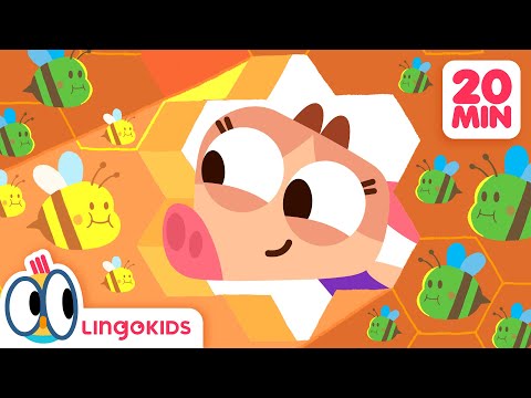 BABY BOT Knows BEES 🐝 🍯 + More Cartoons for Kids | Lingokids