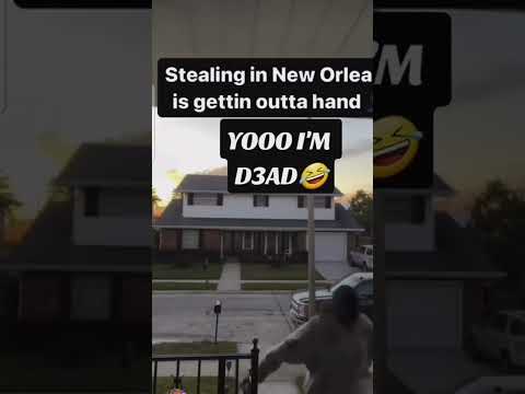 Thief vs Thief in New Orleans #shortvideo #porchpirates