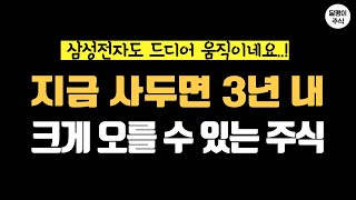 삼성전자 주식과 더불어 3년내 크게 오를것같은 주식..!