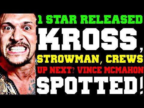 WWE News! Another QUIET WWE Release! More BIG Names Up NEXT! Vince McMahon Spotted! WWE 2K25 Updates